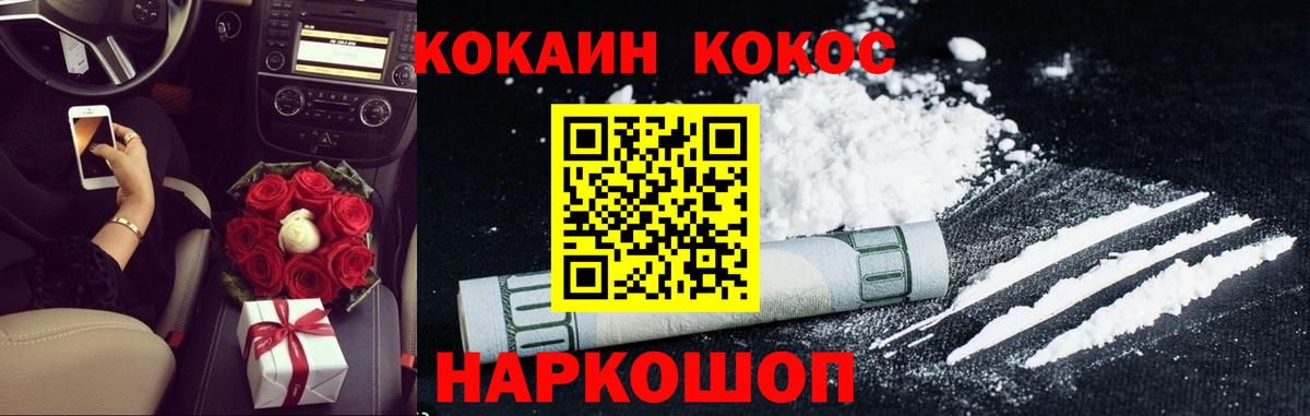 Гатчина  COCAIN Fish Scale  Вход с VPN 