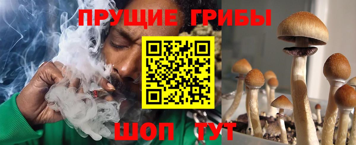 Гатчина  Галлюциногенные грибы Cubensis  Вход с VPN  Галлюциногенные грибы Psilocybine cubensis 